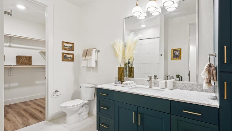 Bathroom with large green vanity