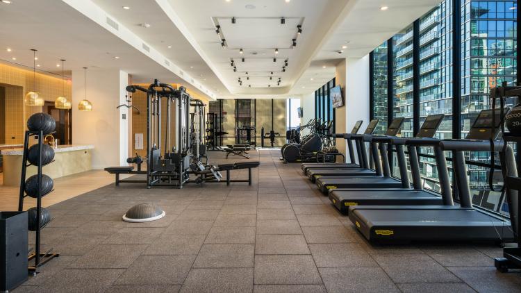Empty gym with treadmills lined up next to a window