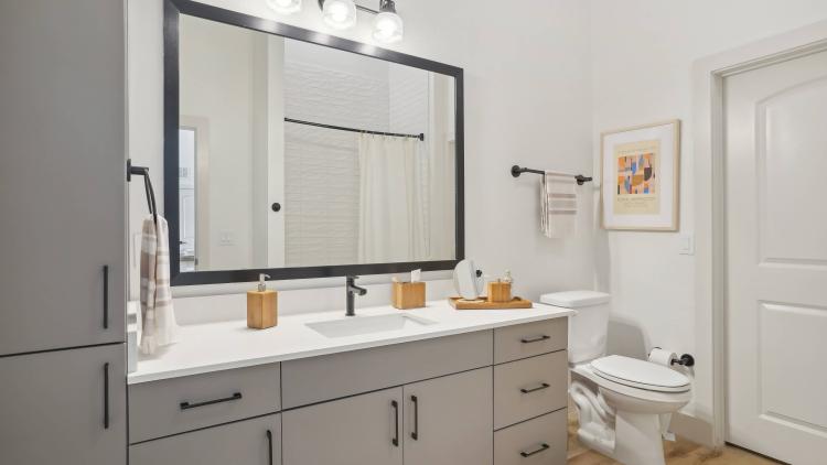 Bathroom counter and mirror